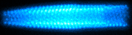 Multi-species Coulomb crystal